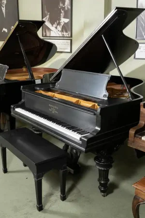 1904 Steinway Model A 6'2" Grand Piano | Satin Ebony | Used Big Sale