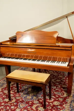 Zimmermann Baby Grand Piano | Polished Walnut | Used Top Pick