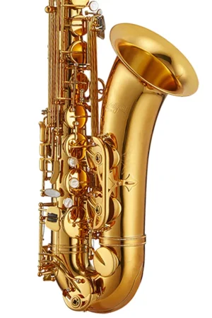 Antigua Winds TS6200 Pro-One Tenor Saxophone - Vintage Lacquer Express Delivery