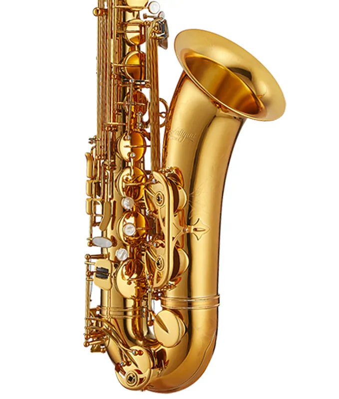 Antigua Winds TS6200 Pro-One Tenor Saxophone - Vintage Lacquer Express Delivery