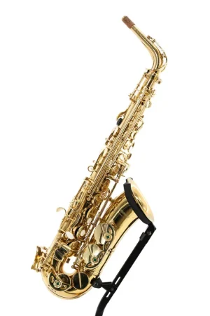 Authentic Pre-Owned The Woodwind Alto Saxophone | Used