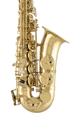 Bargain Selmer SAS711 Professional Alto Saxophone - Lacquered