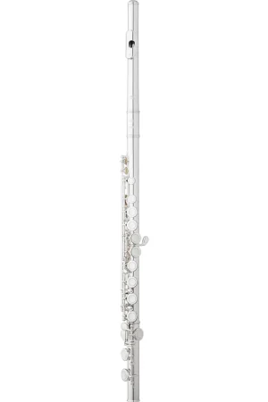 Budget Eastman EFL210 Student C Flute - Closed Hole Silver