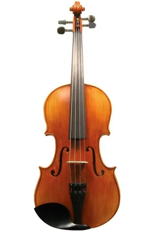 Buy Online Pre-Owned Fiori Cello 4/4 Outfit Opus 4