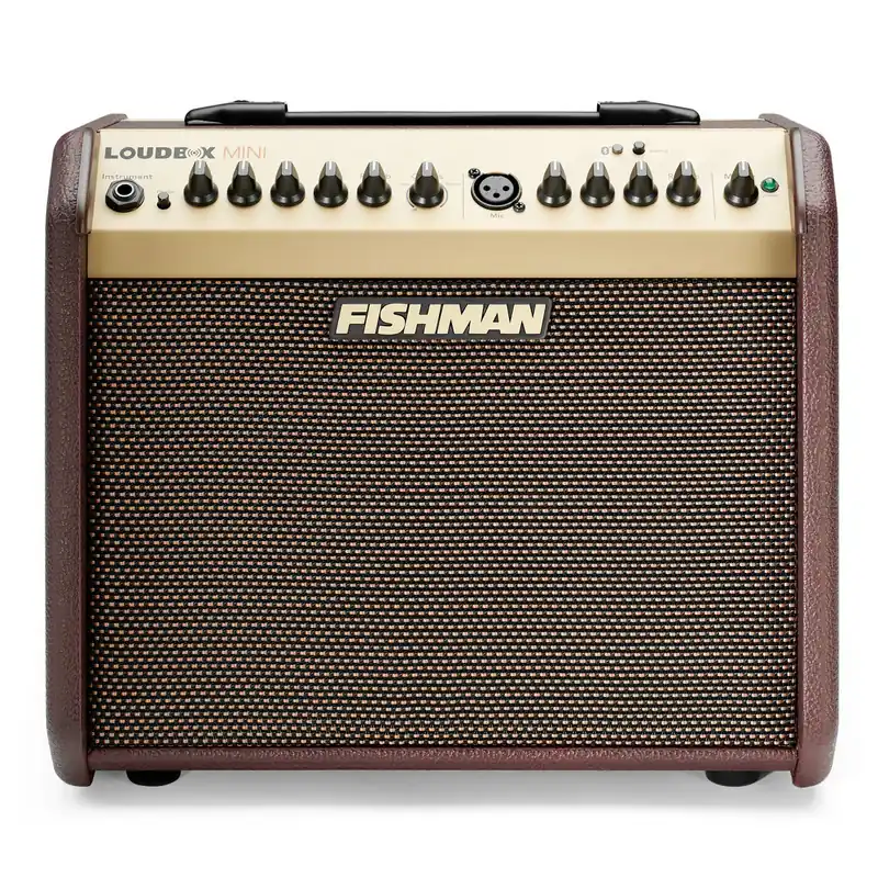 Fan Favorite Fishman - Loudbox Mini with Bluetooth® PRO-LBT-500