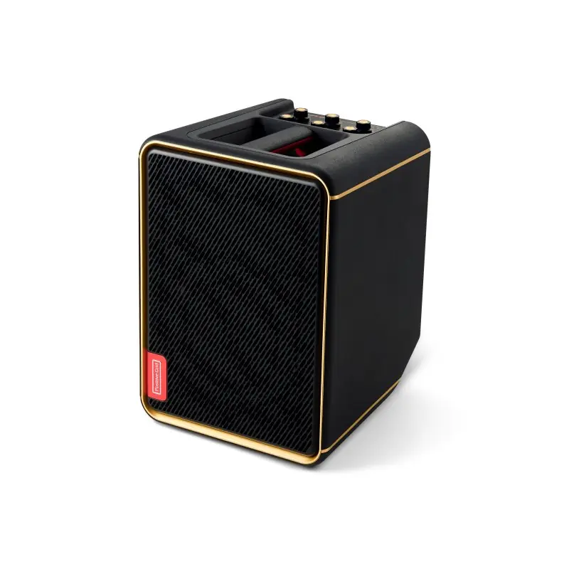 Positive Grid - Portable 4-Channel Smart Amp & PA System - Black - SPARK-EDGE Price Cut