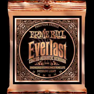 Direct From Manufacturer Ernie Ball - Ac Everlast Phosphor Medium Light 2546