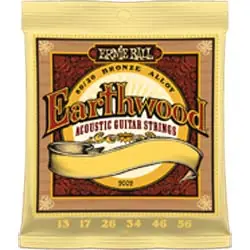 Ernie Ball - Earthwood Medium Light 12-54 Crafted
