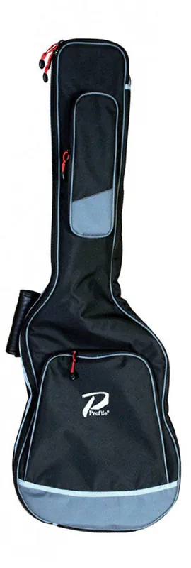 Don’t Miss Out Profile - GigBag Classical Guitar PRCB100