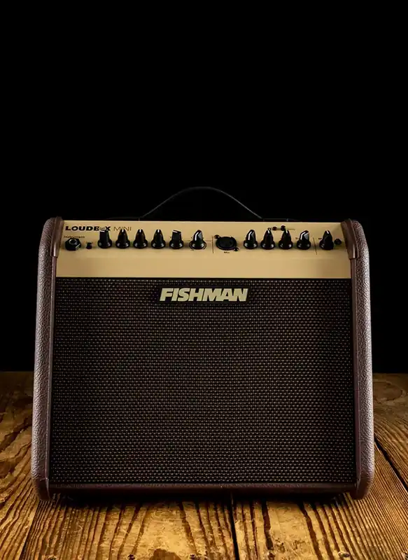 New Arrival Fishman Loudbox Mini w/Bluetooth - 60 Watt 1x6.5" Acoustic Guitar Combo