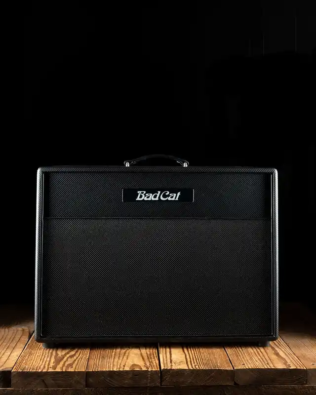Special Discount Bad Cat Lynx - 120 Watt 2x12" Guitar Cabinet