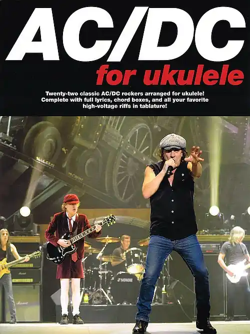AC/DC for Ukulele Factory Price