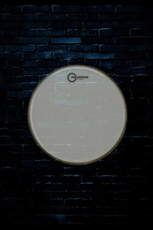 Same Day Shipping Aquarian RSP210 - 10" Response 2 Series Clear Drumhead