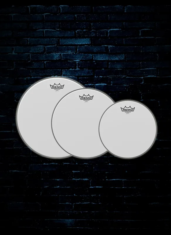 Remo PP-1390-BA - Ambassador Coated Tom Drumhead Pack Hassle-Free Returns