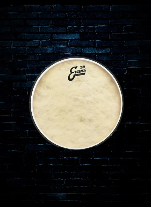 Best Price Evans TT10C7 - 10" Calftone Tom Drumhead