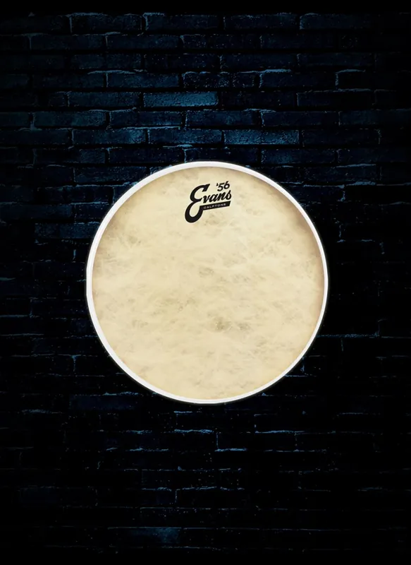 Evans TT13C7 - 13" Calftone Tom Drumhead Instant Buy