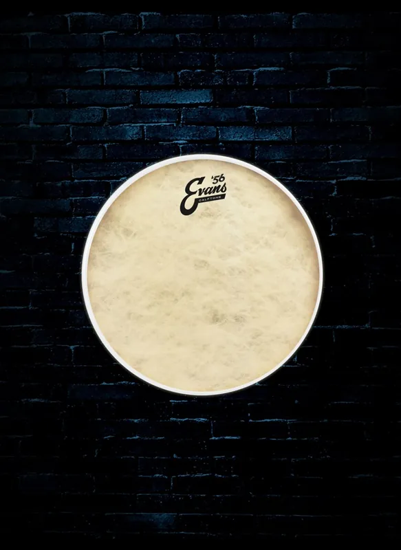 Evans TT16C7 - 16" Calftone Tom Drumhead Same Day Shipping