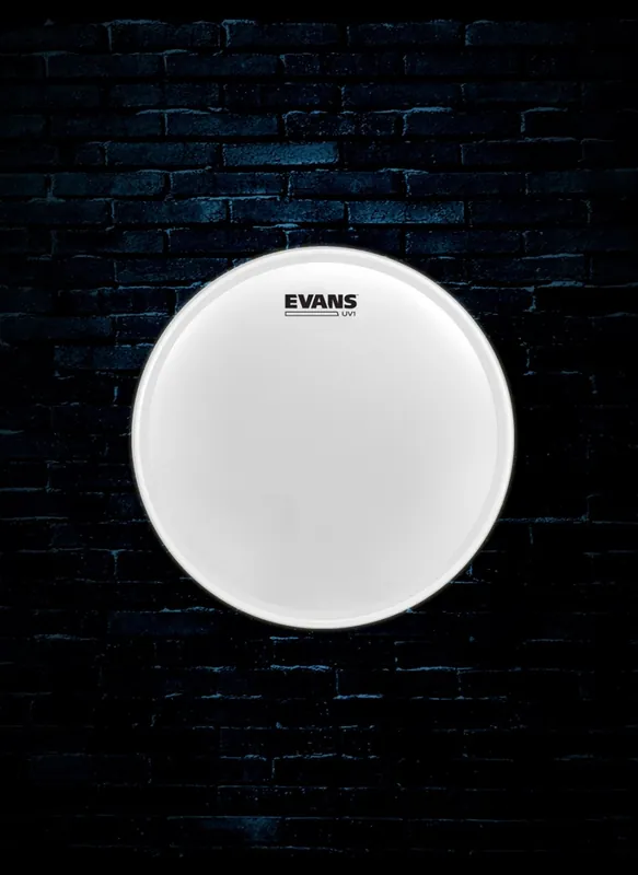 Trending Evans B12UV1 - 12" UV1 Coated Drumhead