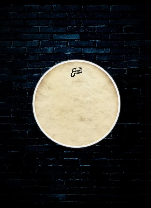 Evans BD18GB4CT - 18" Calftone EQ4 Bass Drumhead Best Price