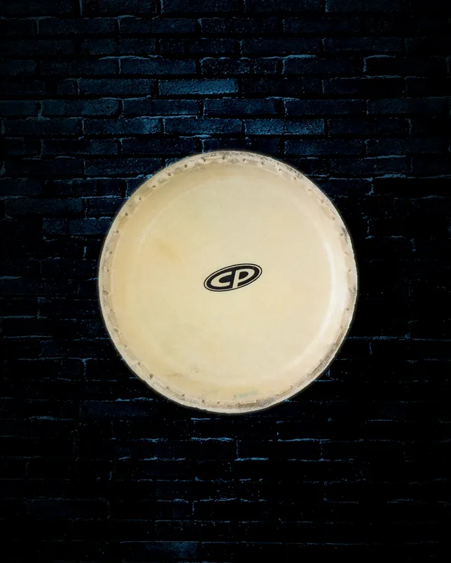 Popular LP 10" Conga Head for CP Series Congas