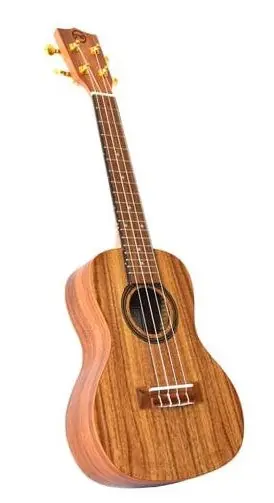 Budget Twisted Wood - Aurora Ukulele Soprano AR-800S