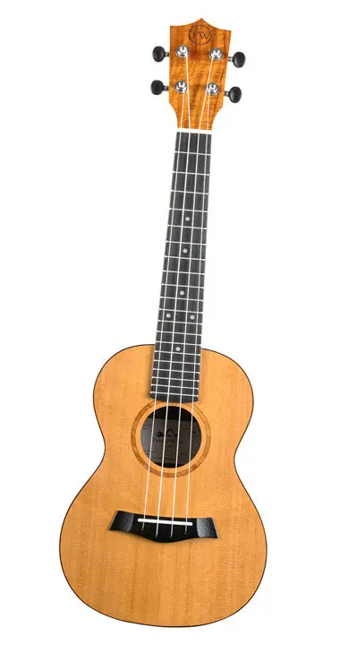 Worldwide Shipping Twisted Wood - Sierra Tenor SE900T