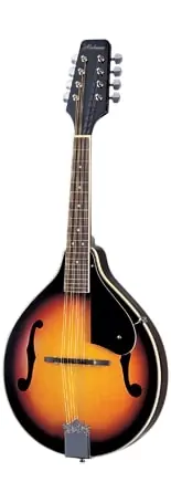 Alabama - Style A Mandolin in Tobacco Sunburst - ALM20 Factory Price