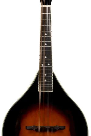 BeaverCreek - Bluegrass: Mandolin BCMM201 Best Seller