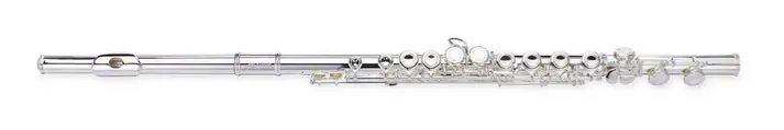 Sinclair - SFL-2100 Flute Don’t Miss Out