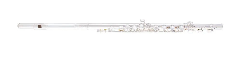 Selmer - Flute with Case SFL301 Next Day Delivery