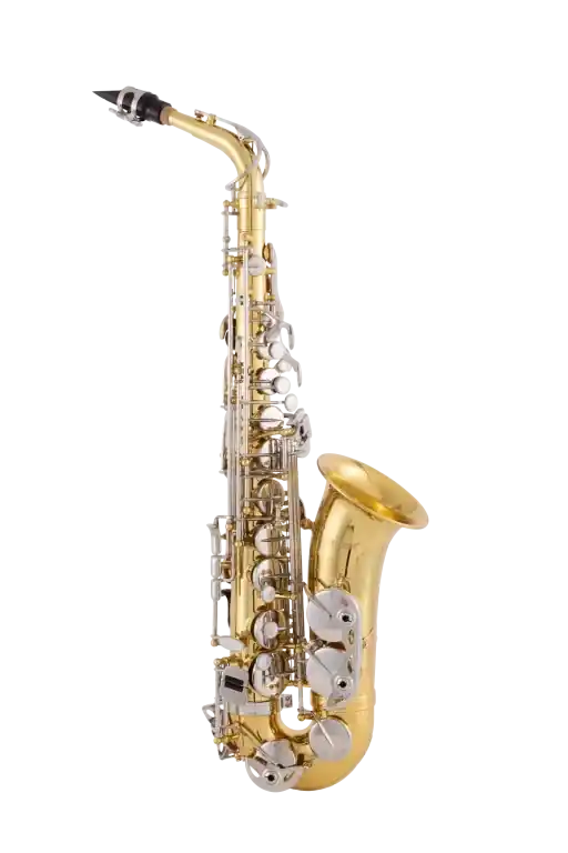 Deal Selmer - Alto Saxophone in E♭ SAS202 - Student / 200 - SAS202