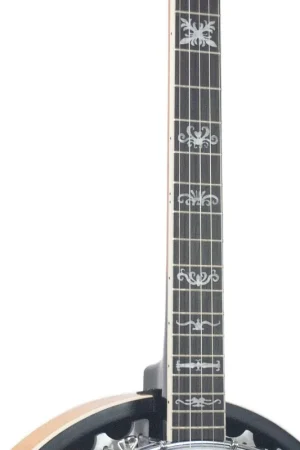 Alabama - 5-String Mahogany Banjo - Sunburst Gloss- ALB31 Time-Limited