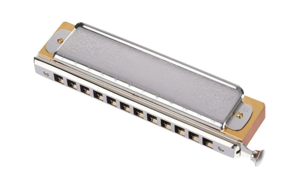 Free Returns Hohner - Super Chromonica 12 Chromatic Harmonica, Key of D Major 270-D