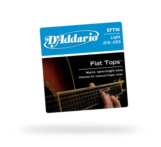 Buy Direct D'Addario - EFT16 Light 12-53