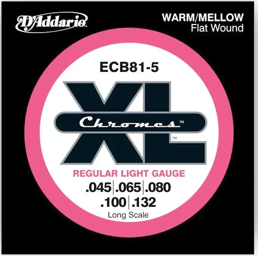 Don’t Miss Out D'Addario - ECB81-5 Chromes 45-132