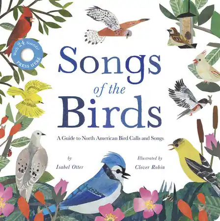 Holiday Sale Songs of the Birds
