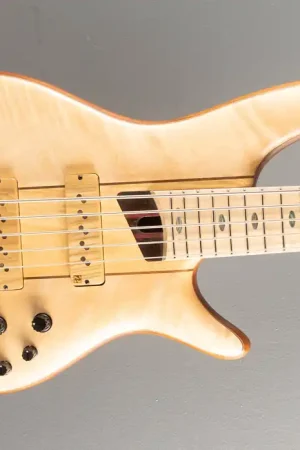 Worldwide Shipping SR5FMDX2 Bass - Natural Low Gloss– Dave's Guitar Shop
