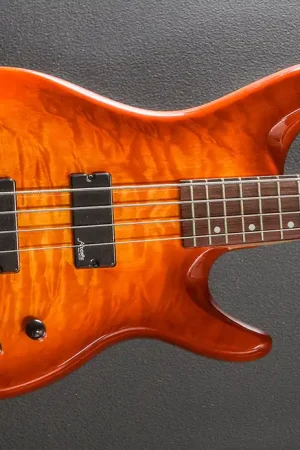 AEB4 Bass, Early 2000's– Dave's Guitar Shop Limited Time