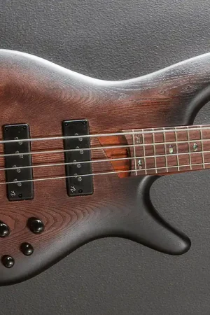 Worldwide Shipping SR600E Bass - Antique Brown Stained Burst– Dave's Guitar Shop