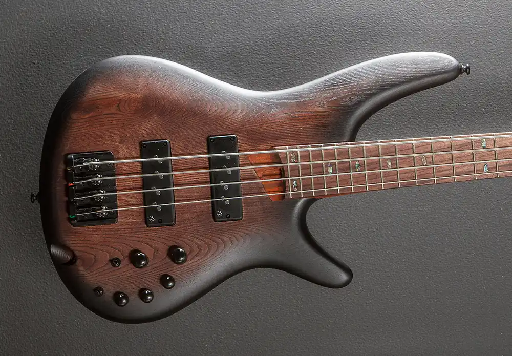 Worldwide Shipping SR600E Bass - Antique Brown Stained Burst– Dave's Guitar Shop