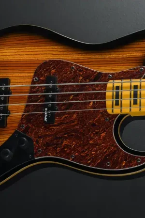 Vintage Element 4 Bass– Dave's Guitar Shop Direct From Manufacturer