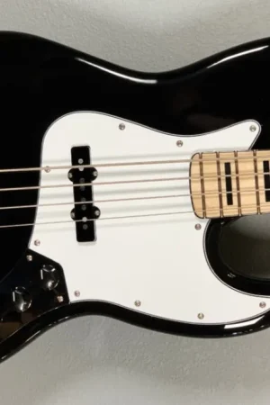 Viral Geddy Lee Jazz Bass - Black– Dave's Guitar Shop