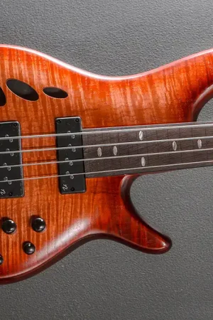 SRD900F Fretless Bass - Brown Topaz Burst Low Gloss– Dave's Guitar Shop Get Yours