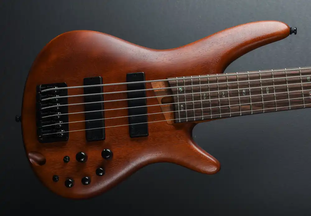 SR506E 6 String Bass - Brown Mahogany– Dave's Guitar Shop Big Sale