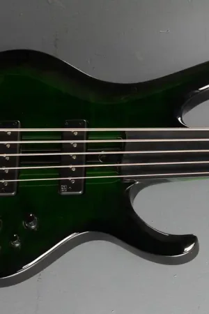 Steve Di Giorgio SDGB1 Fretless Bass - Dark Moss Burst– Dave's Guitar Shop Professional Grade