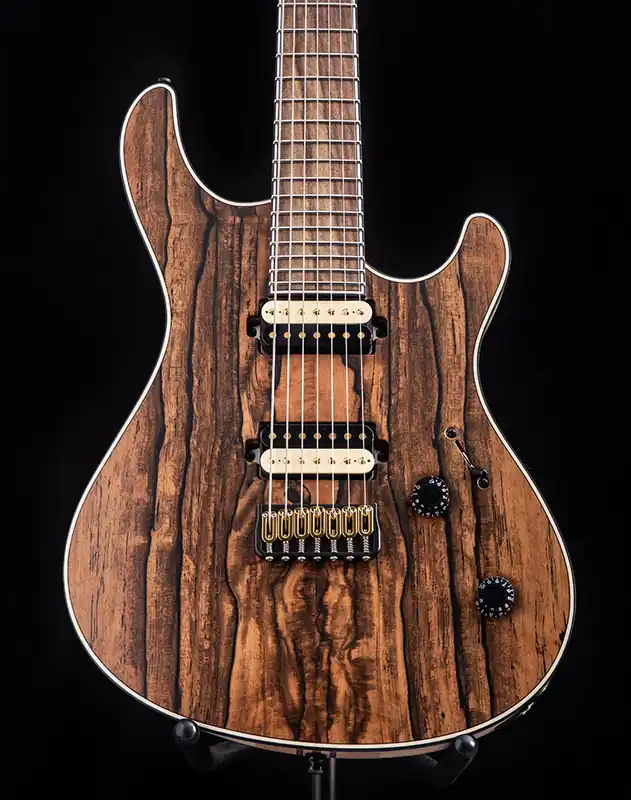 Trusted Brand Mayones Regius 7 Royal Ebony High End Electric Guitar