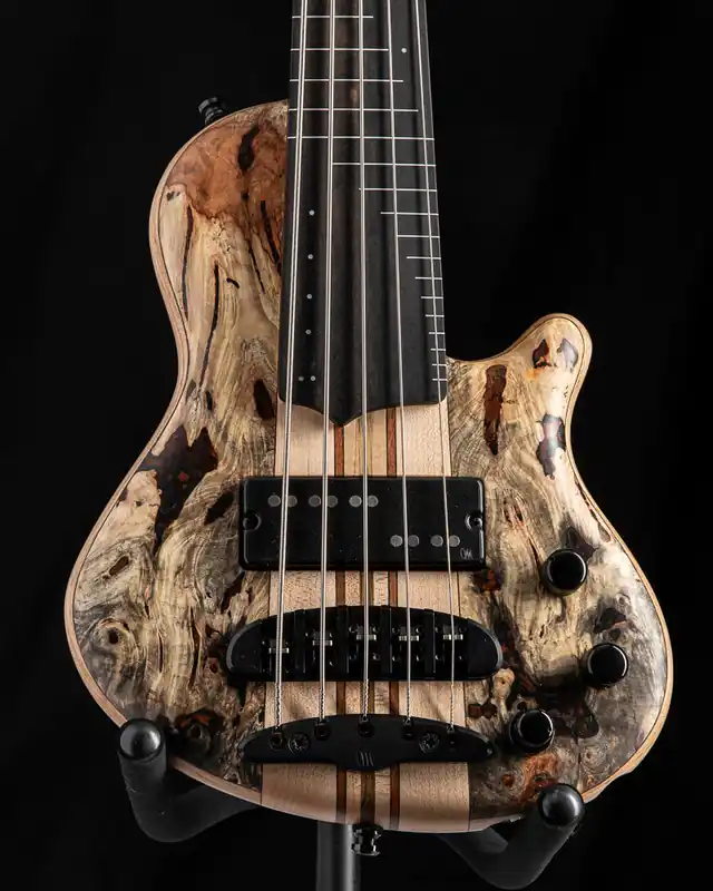 Mayones Cali 5 Fretless Buckeye Burl Top Rated