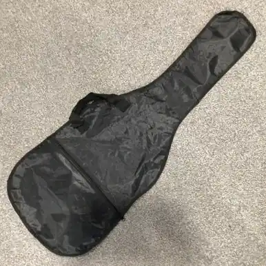 Used Electric Guitar Sleeve Buy Direct