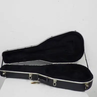 Used ACOUSTIC HARD CASE Guitar Case Trending