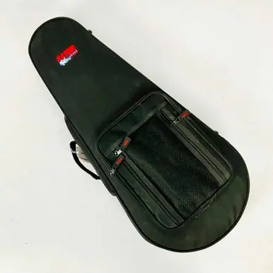 Used Gator MANDOLIN CASE Handmade